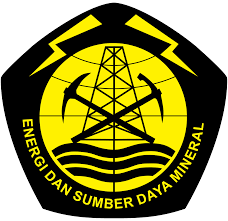 Logo ESDM
